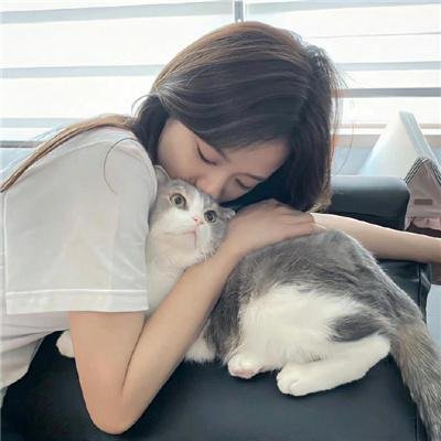 黑色大丽花